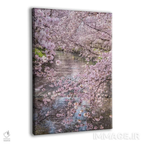 تابلو دکوراتیو بهار در ژاپن پانزده اثر دایسوکه اوئه ماتسو - نمای پرسپکتیو محصول