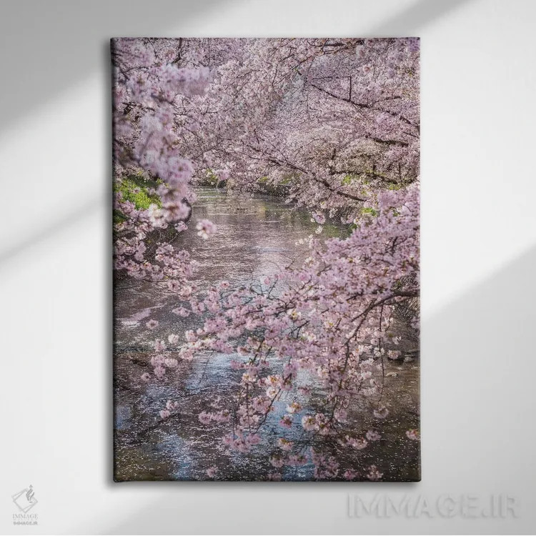 تابلو دکوراتیو بهار در ژاپن پانزده اثر دایسوکه اوئه ماتسو - نمای روبهرو روی دیوار