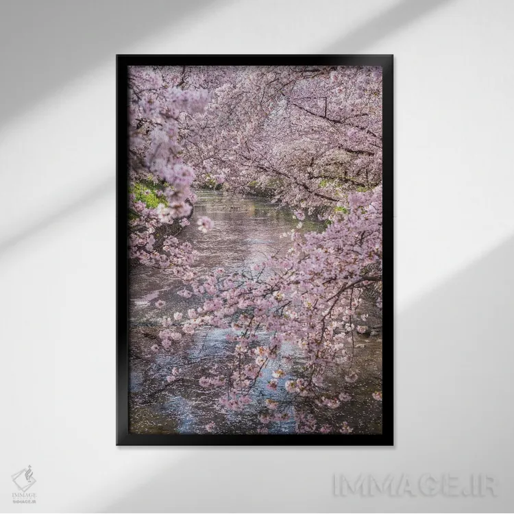 تابلو دکوراتیو بهار در ژاپن پانزده اثر دایسوکه اوئه ماتسو - نمای قابدار مشکی