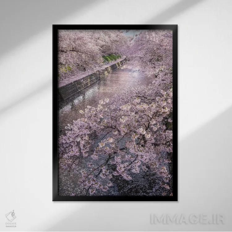 تابلو دکوراتیو بهار در ژاپن شانزده اثر دایسوکه اوئه ماتسو - نمای قابدار مشکی