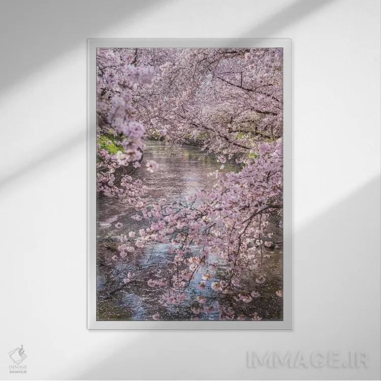 تابلو دکوراتیو بهار در ژاپن پانزده اثر دایسوکه اوئه ماتسو - نمای قابدار سفید