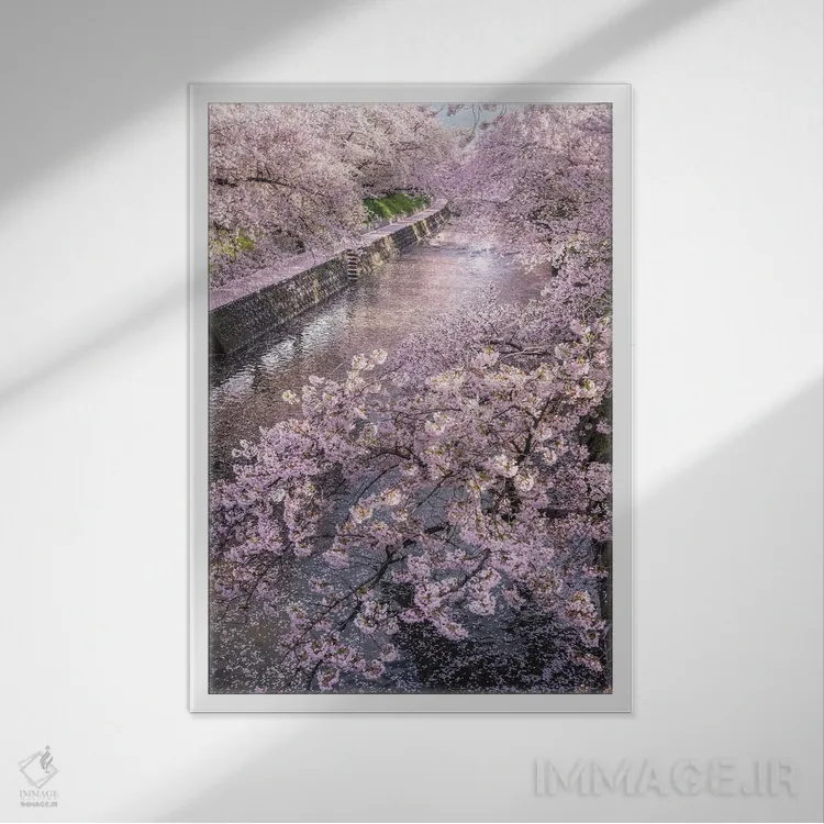 تابلو دکوراتیو بهار در ژاپن شانزده اثر دایسوکه اوئه ماتسو - نمای قابدار سفید