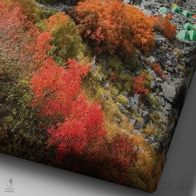 تابلو دکوراتیو پاییز در ژاپن بیست و یکم اثر دایسوکه اوئه ماتسو - نمای نزدیک بافت بوم