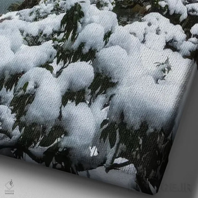 تابلو دکوراتیو زمستان در ژاپن یک اثر دایسوکه اوئه ماتسو - نمای نزدیک بافت بوم