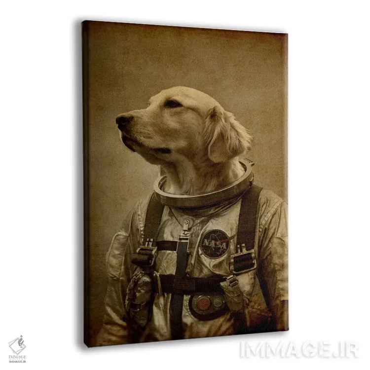 تابلو دکوراتیو دارم برمی گردم اثر دورو آرت - نمای پرسپکتیو محصول