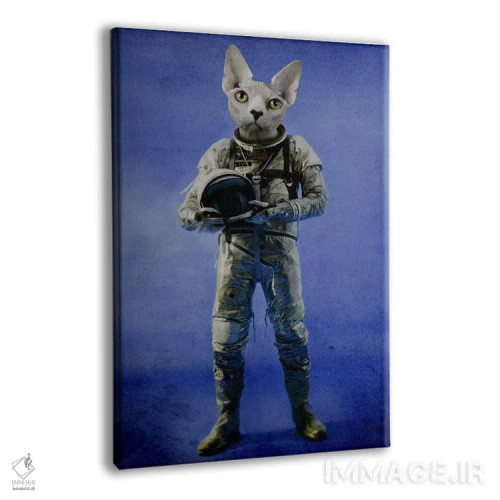 تابلو دکوراتیو نگاه به دوردست اثر دورو آرت - نمای پرسپکتیو محصول