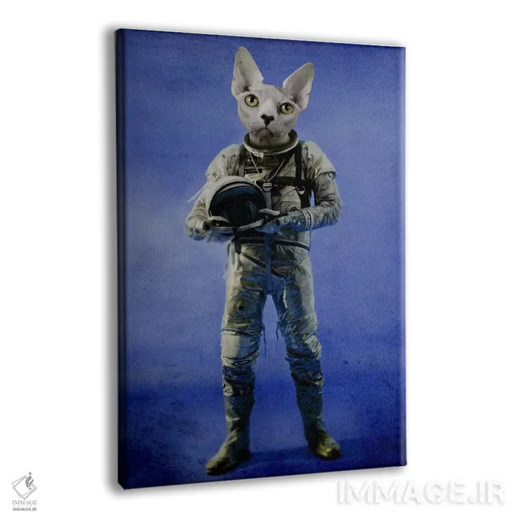 تابلو دکوراتیو نگاه به دوردست اثر دورو آرت - نمای پرسپکتیو محصول