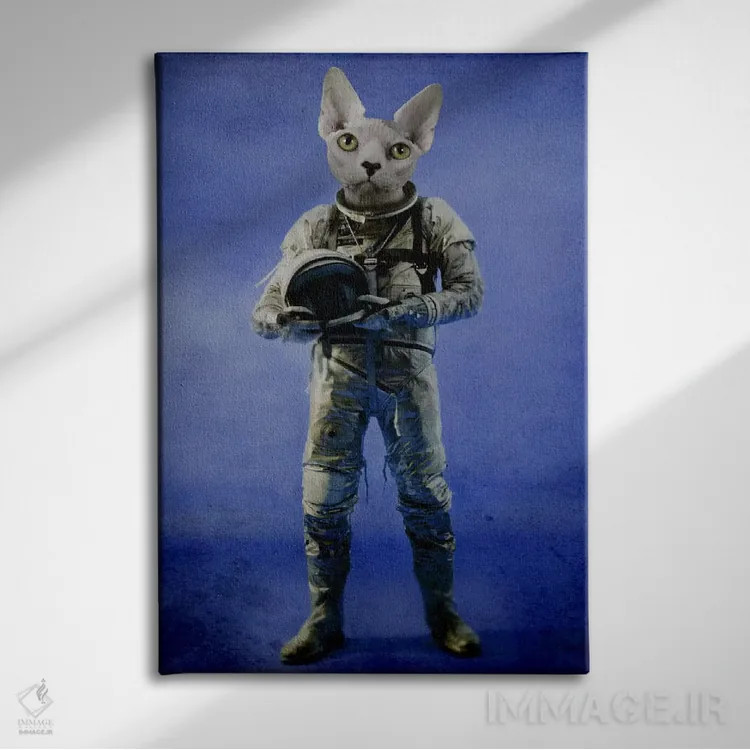 تابلو دکوراتیو نگاه به دوردست اثر دورو آرت - نمای روبهرو روی دیوار