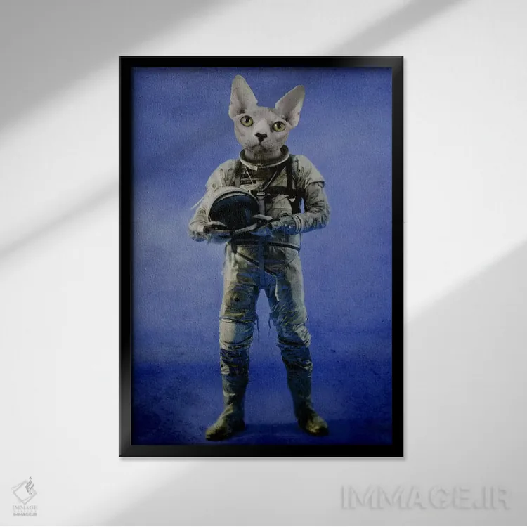 تابلو دکوراتیو نگاه به دوردست اثر دورو آرت - نمای قابدار مشکی