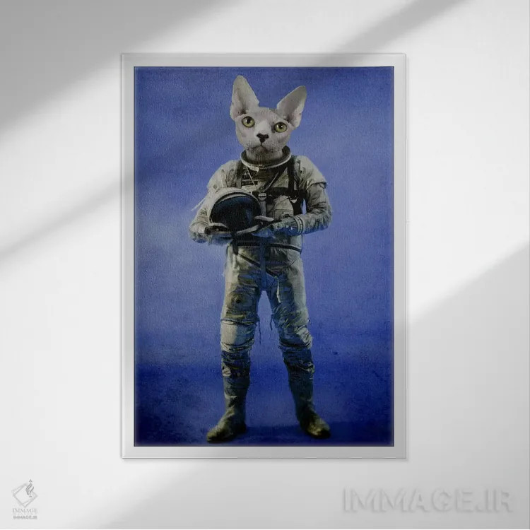 تابلو دکوراتیو نگاه به دوردست اثر دورو آرت - نمای قابدار سفید