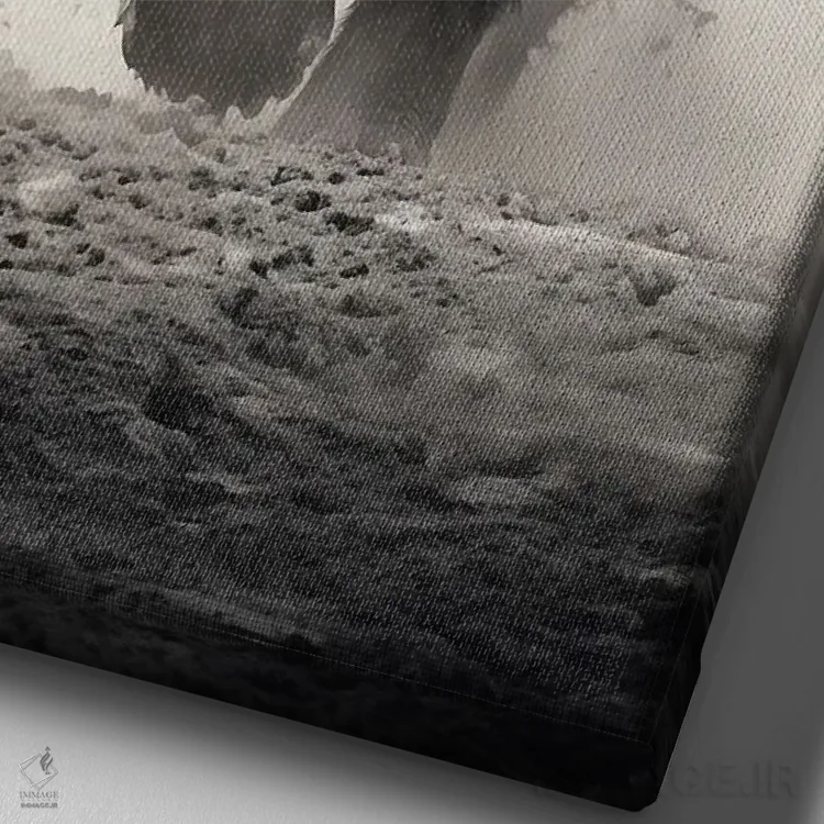 تابلو دکوراتیو ماموت مشکی اثر دورو آرت - نمای نزدیک بافت بوم