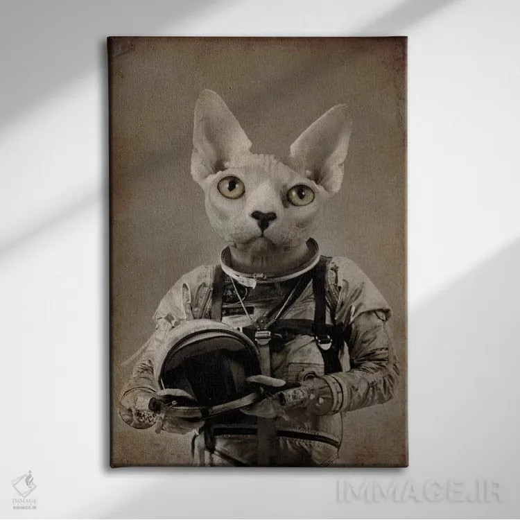 تابلو دکوراتیو گمشده در فضا اثر دورو آرت - نمای روبهرو روی دیوار