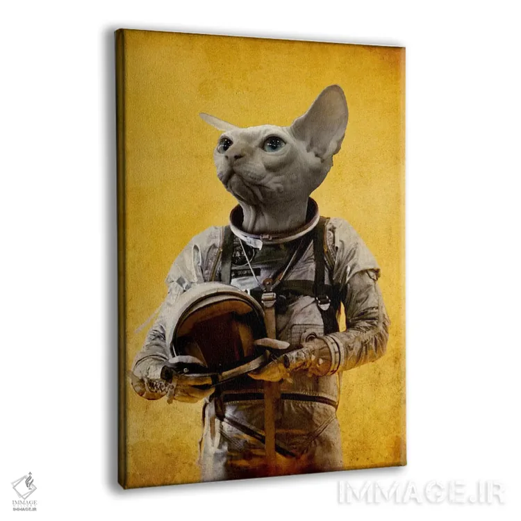 تابلو دکوراتیو فضانورد مغرور اثر دورو آرت - نمای پرسپکتیو محصول