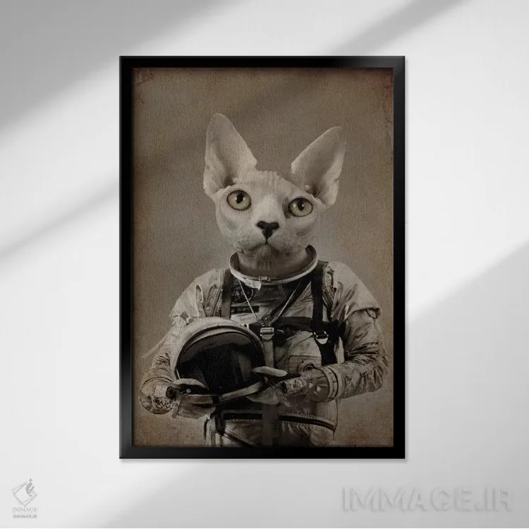 تابلو دکوراتیو گمشده در فضا اثر دورو آرت - نمای قابدار مشکی