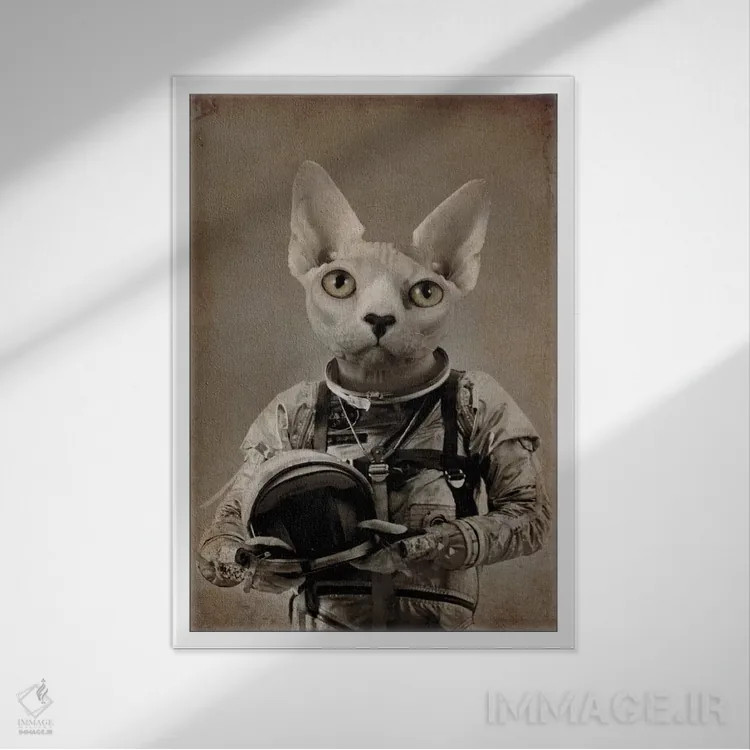 تابلو دکوراتیو گمشده در فضا اثر دورو آرت - نمای قابدار سفید