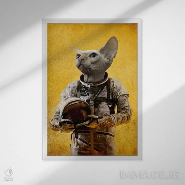 تابلو دکوراتیو فضانورد مغرور اثر دورو آرت - نمای قابدار سفید