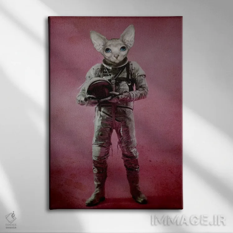 تابلو دکوراتیو رویاپرداز اثر دورو آرت - نمای روبهرو روی دیوار