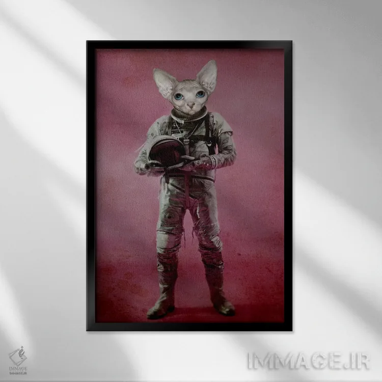 تابلو دکوراتیو رویاپرداز اثر دورو آرت - نمای قابدار مشکی