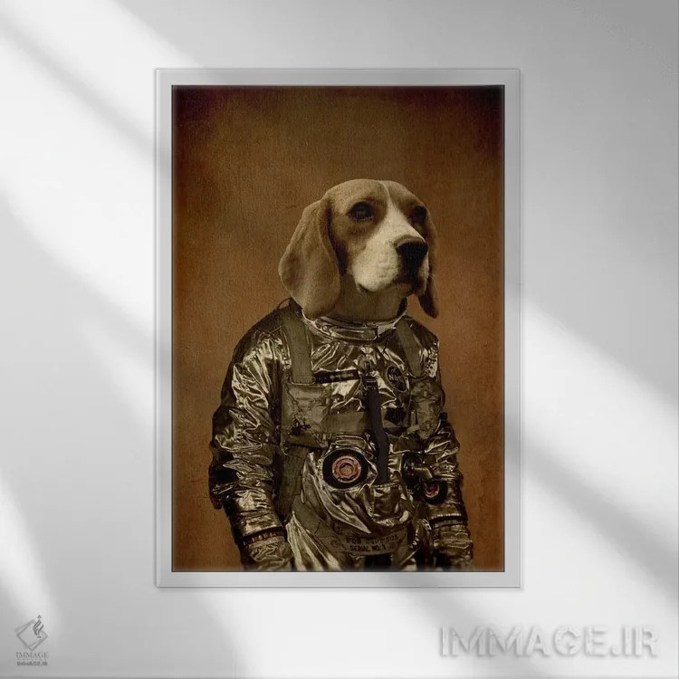 تابلو دکوراتیو بیگل اثر دورو آرت - نمای قابدار سفید