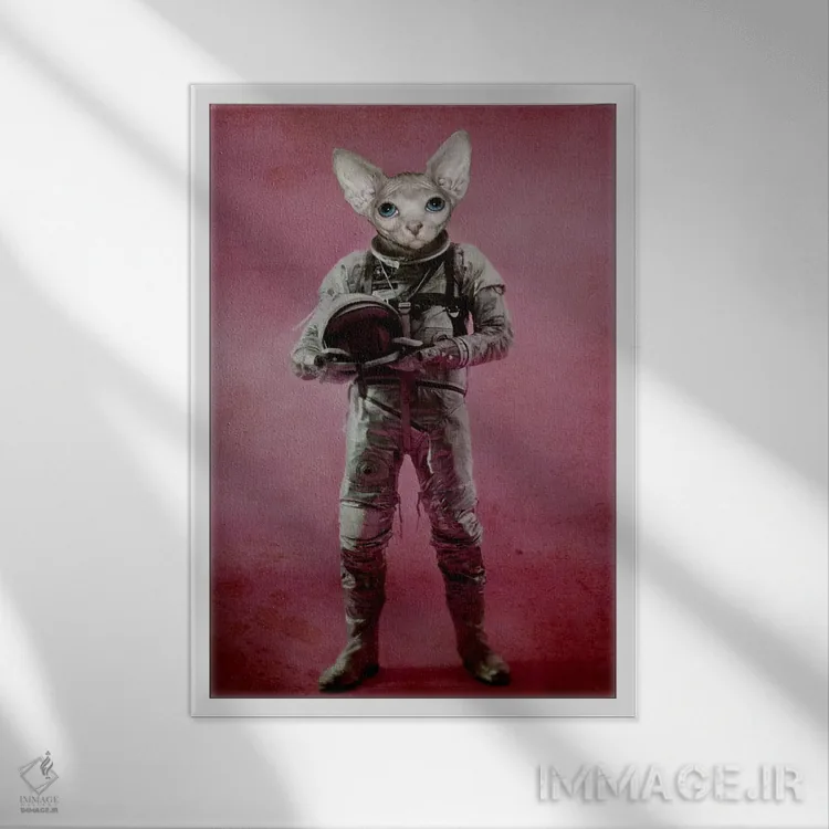 تابلو دکوراتیو رویاپرداز اثر دورو آرت - نمای قابدار سفید