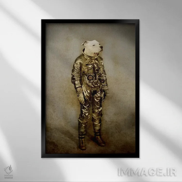 تابلو دکوراتیو سخت اثر دورو آرت - نمای قابدار مشکی