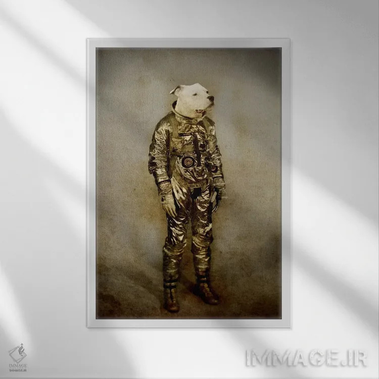 تابلو دکوراتیو سخت اثر دورو آرت - نمای قابدار سفید