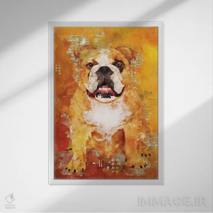 تابلو دکوراتیو سگ بوکسر وحشی اثر دورو آرت - نمای قابدار سفید