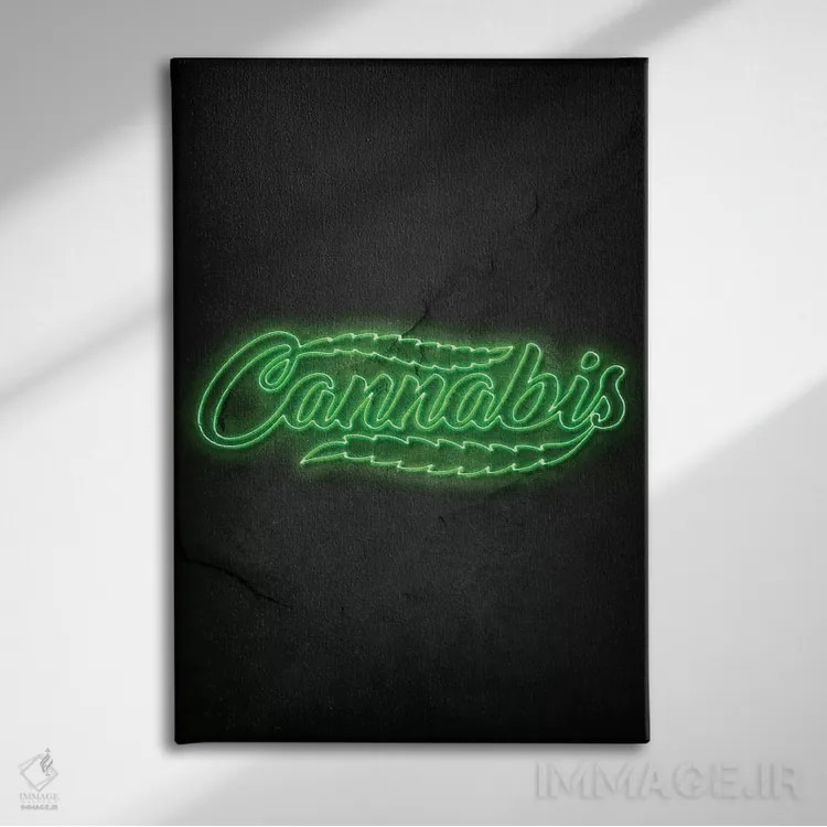 تابلو مینیمال شاه دانه اثر دورو آرت - نمای روبهرو روی دیوار