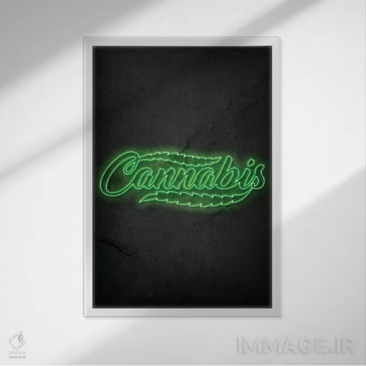 تابلو مینیمال شاه دانه اثر دورو آرت - نمای قابدار سفید