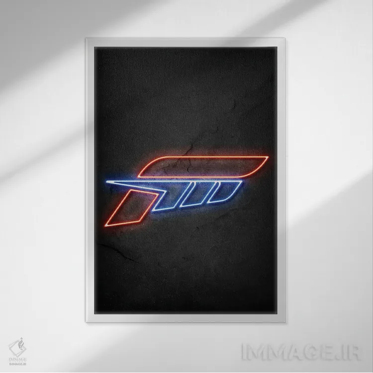 تابلو دکوراتیو فورزا اثر دورو آرت - نمای قابدار سفید