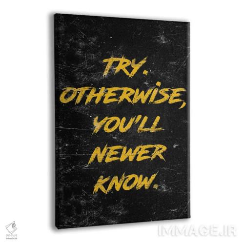 تابلو دکوراتیو تلاش کن اثر دورو آرت - نمای پرسپکتیو محصول