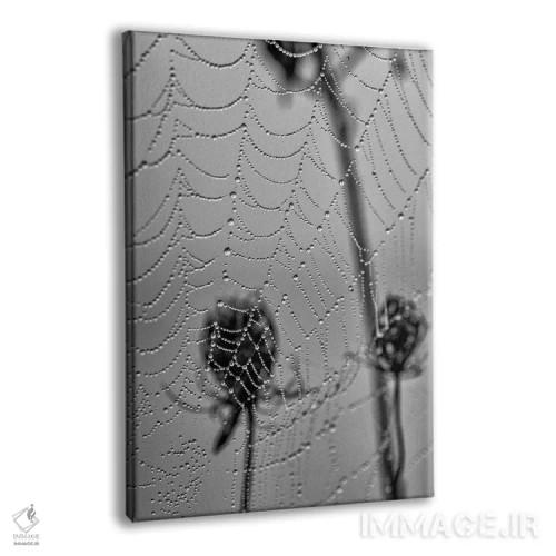 تابلو دکوراتیو مرواریدهای صبحگاهی اثر دیوید گارباورر - نمای پرسپکتیو محصول