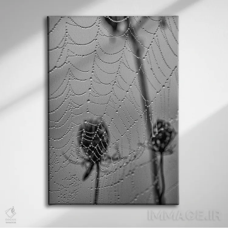 تابلو دکوراتیو مرواریدهای صبحگاهی اثر دیوید گارباورر - نمای روبهرو روی دیوار