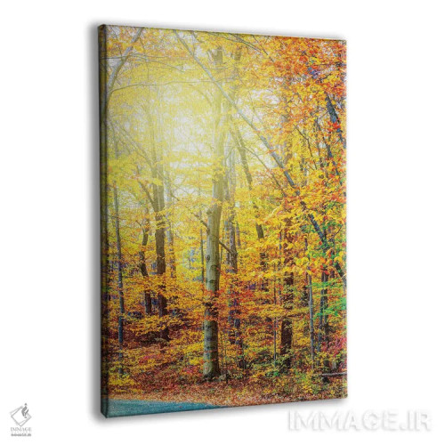 تابلو دکوراتیو پاییز آفتاب زده اثر دیوید گارباورر - نمای پرسپکتیو محصول