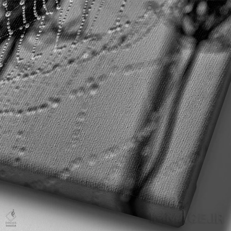 تابلو دکوراتیو مرواریدهای صبحگاهی اثر دیوید گارباورر - نمای نزدیک بافت بوم