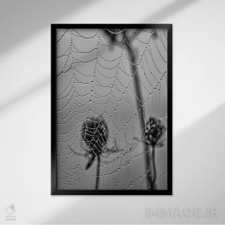 تابلو دکوراتیو مرواریدهای صبحگاهی اثر دیوید گارباورر - نمای قابدار مشکی