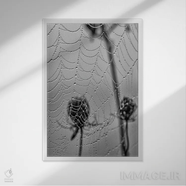 تابلو دکوراتیو مرواریدهای صبحگاهی اثر دیوید گارباورر - نمای قابدار سفید