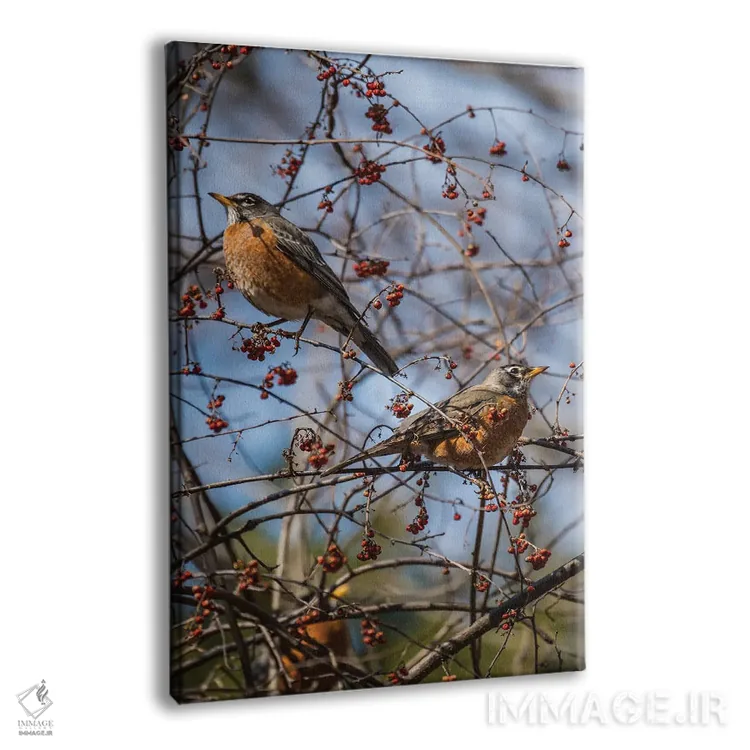 تابلو دکوراتیو روبین های بهاری اثر دیوید گارباورر - نمای پرسپکتیو محصول