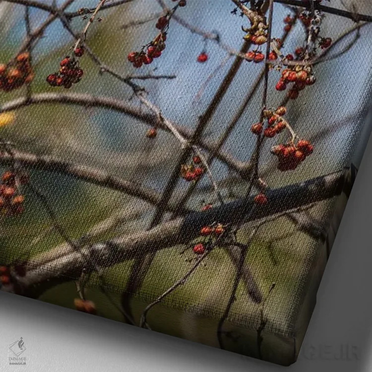 تابلو دکوراتیو روبین های بهاری اثر دیوید گارباورر - نمای نزدیک بافت بوم