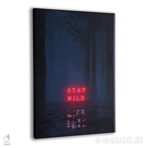 تابلو دکوراتیو خود واقعی اثر داوانش آتری - نمای پرسپکتیو محصول