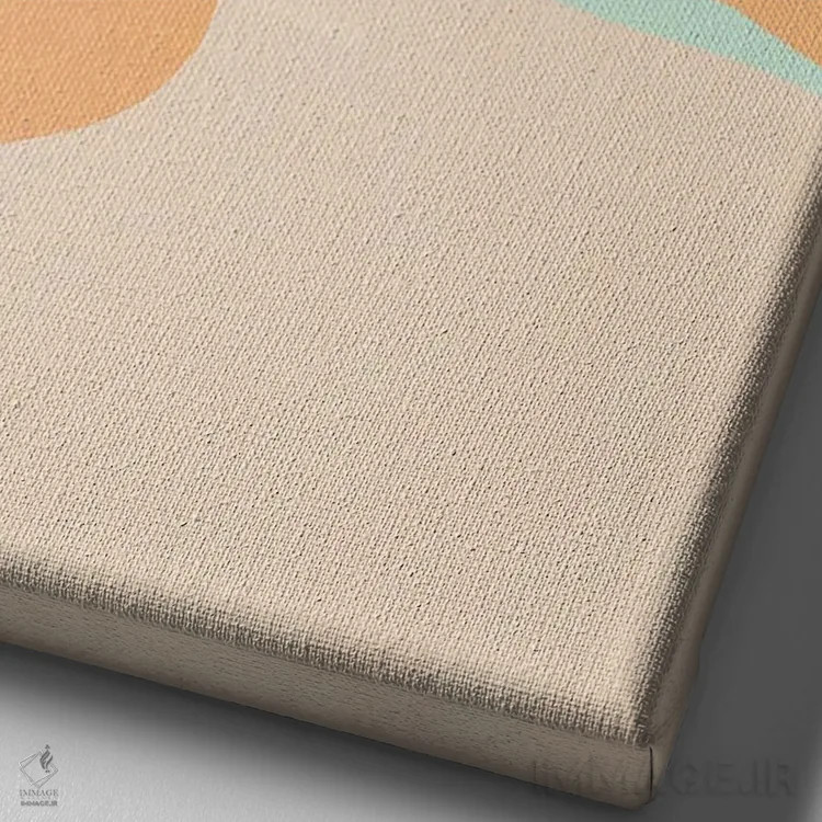 تابلو مینیمال کاکتوس غروب اثر دومینیک واری - نمای نزدیک بافت بوم