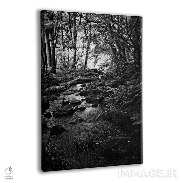 تابلو دکوراتیو جویبار سرسبز در جنگل اثر دبرا ون سوارینجن - نمای پرسپکتیو محصول