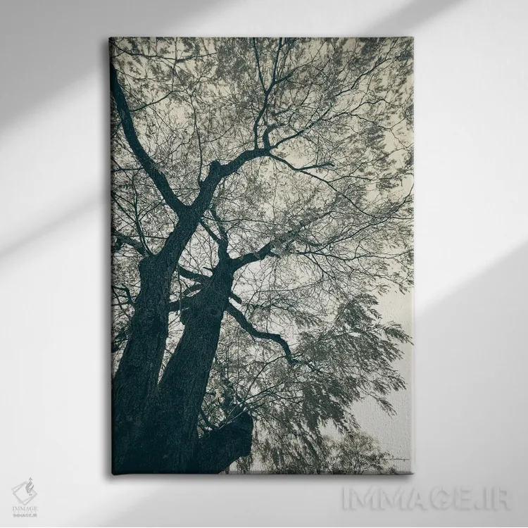 تابلو دکوراتیو شاخه زنی ۱ اثر دبرا ون سوارینجن - نمای روبهرو روی دیوار