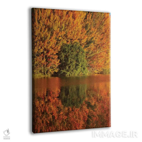 تابلو دکوراتیو انعکاس پاییزی در برکه کلندز، منطقه ساوت کنتر بری، جزیره جنوبی… اثر دیوید وال - نمای پرسپکتیو محصول