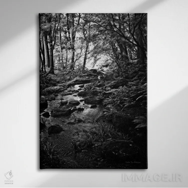 تابلو دکوراتیو جویبار سرسبز در جنگل اثر دبرا ون سوارینجن - نمای روبهرو روی دیوار