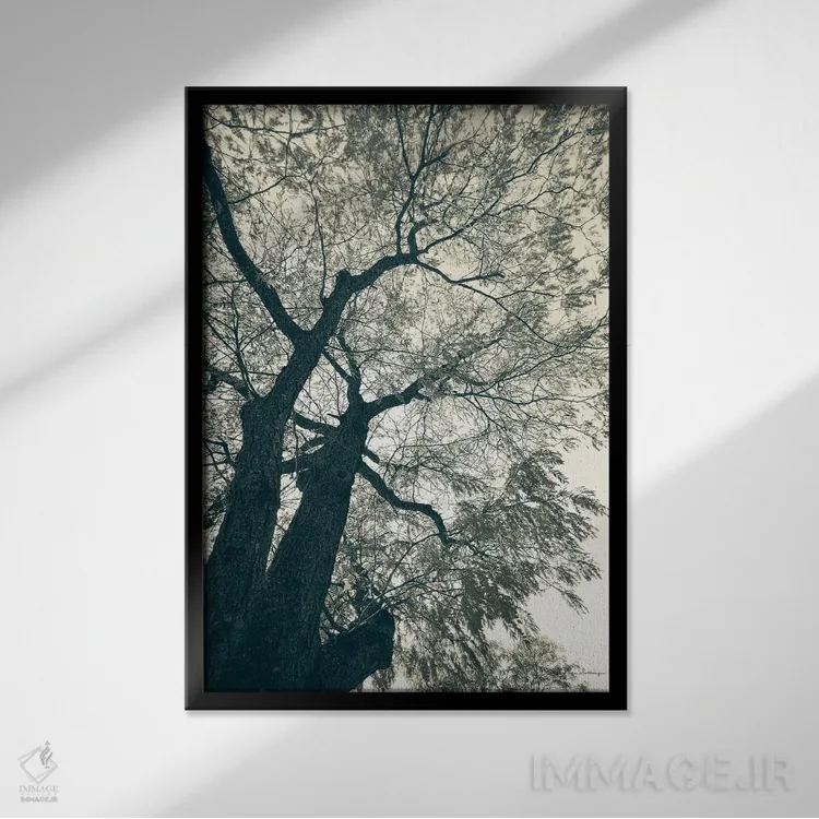 تابلو دکوراتیو شاخه زنی ۱ اثر دبرا ون سوارینجن - نمای قابدار مشکی