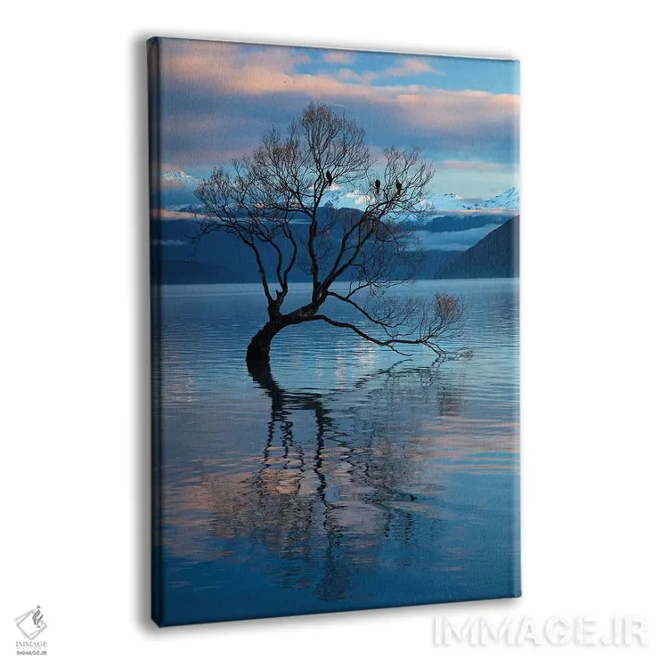 تابلو دکوراتیو آن درخت واناکا در انعکاس آب دریاچه واناکا، اوتاگو، جزیره جنوب… اثر دیوید وال - نمای پرسپکتیو محصول