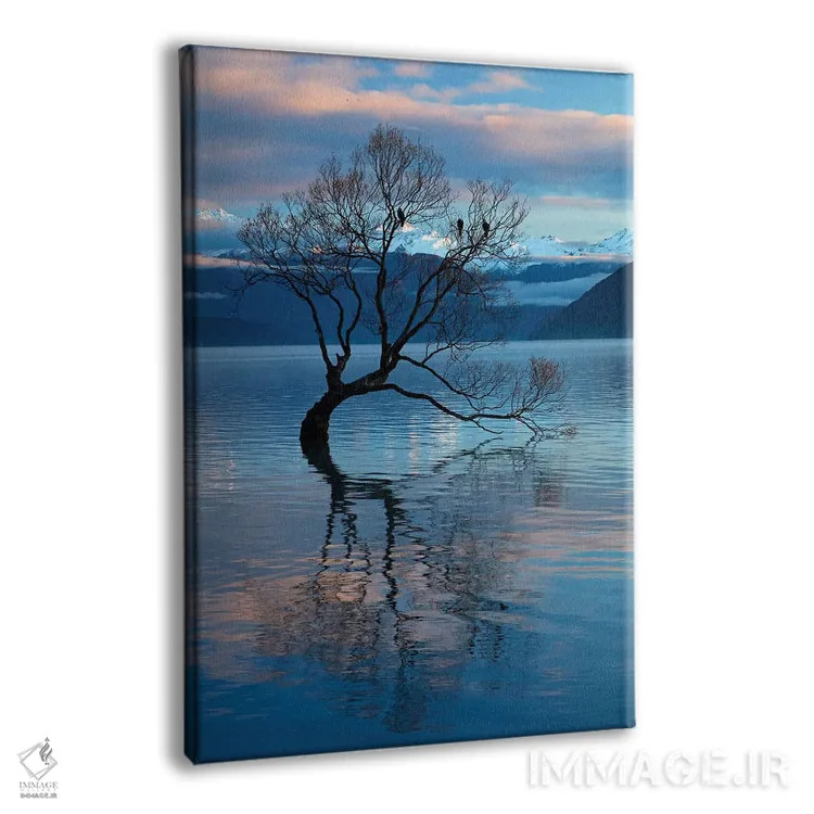 تابلو دکوراتیو آن درخت واناکا در انعکاس آب دریاچه واناکا، اوتاگو، جزیره جنوب… اثر دیوید وال - نمای پرسپکتیو محصول