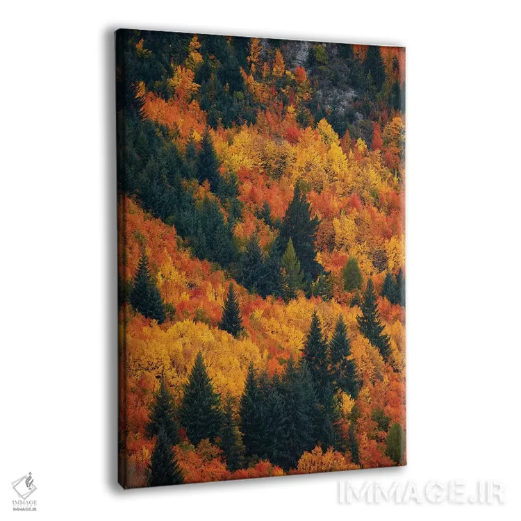 تابلو دکوراتیو درختان پاییزی، اروتاون، نزدیک کویینزتاون، اوتاگو، جزیره جنوبی… اثر دیوید وال - نمای پرسپکتیو محصول