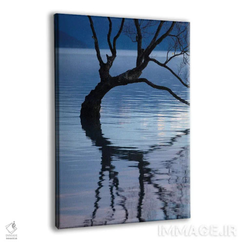 تابلو دکوراتیو آن درخت واناکا در انعکاس آب دریاچه واناکا، اوتاگو، جزیره جنوب… اثر دیوید وال - نمای پرسپکتیو محصول